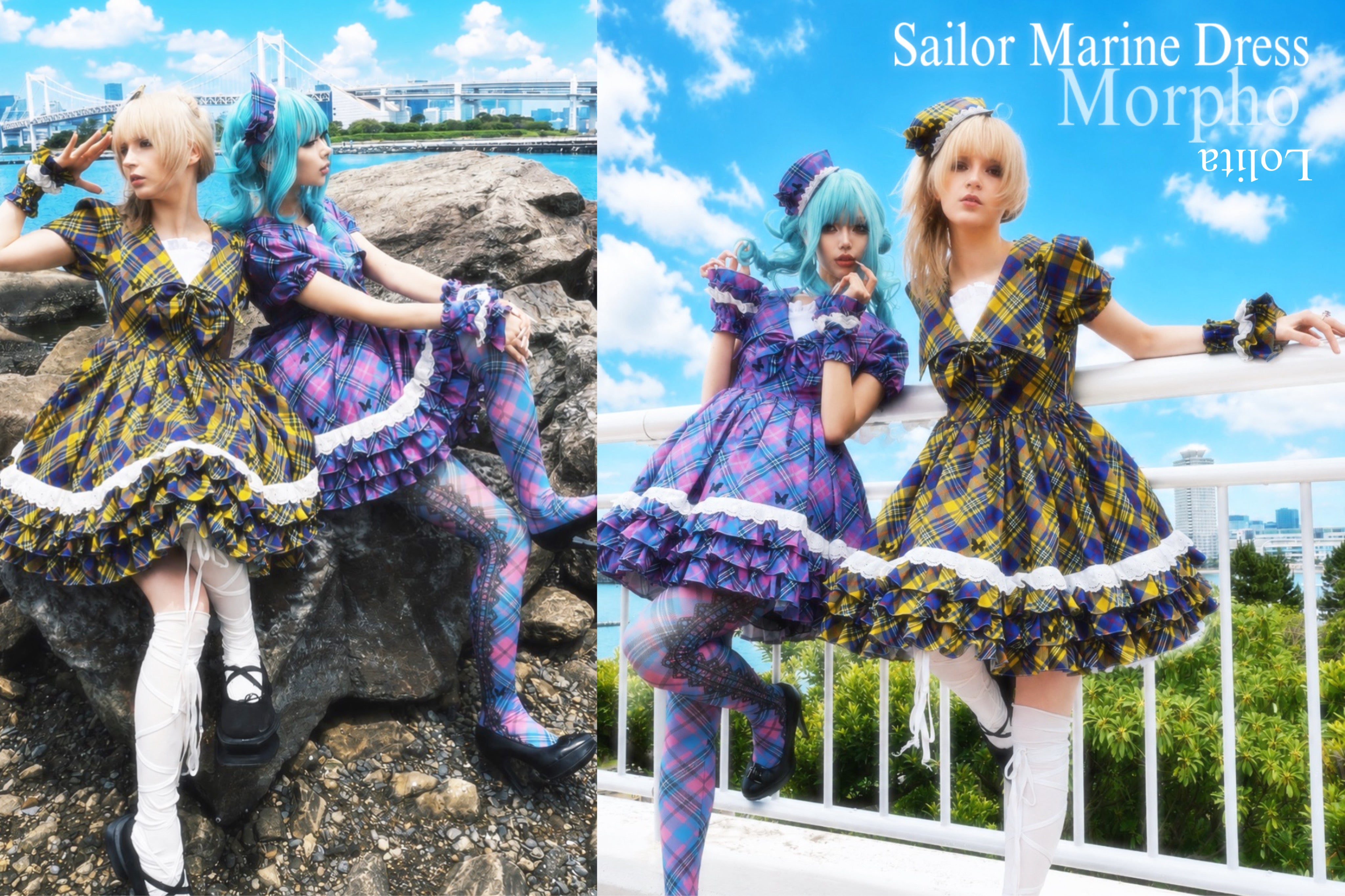 2026 Summer – Morpho