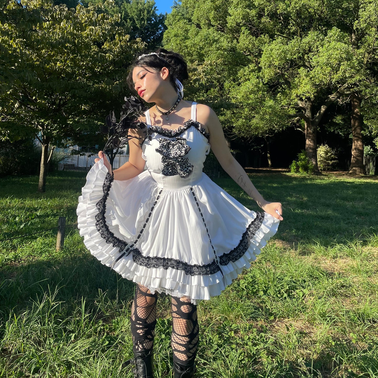 Rebellion Rose