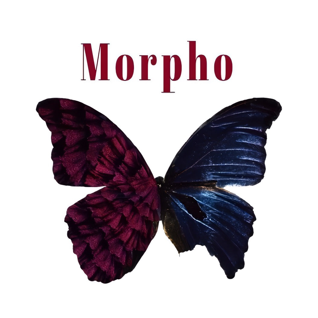 Semi Order -Skirt Length