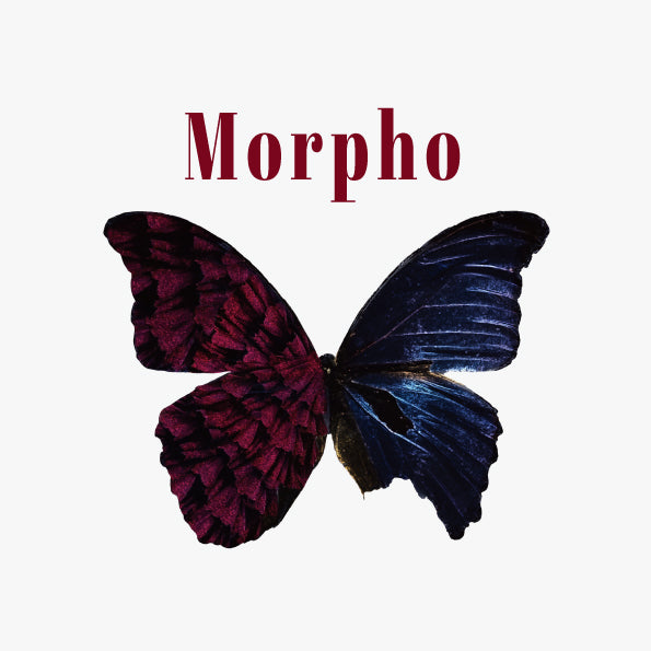 Morpho